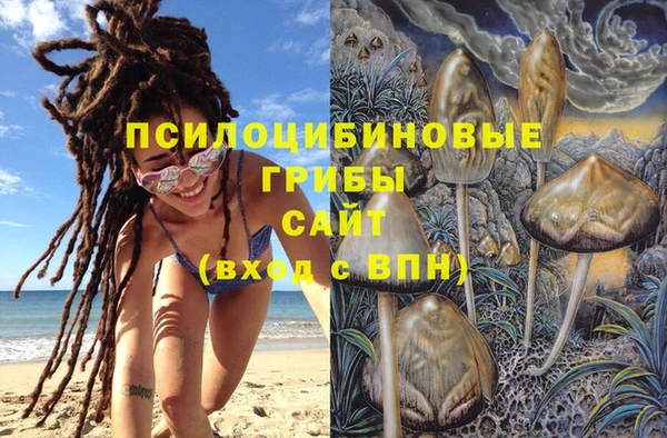 тгк Алексин