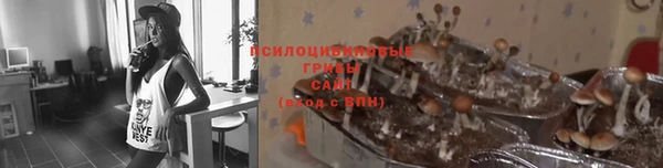 тгк Алексин