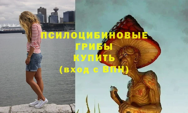 МДПВ Алзамай