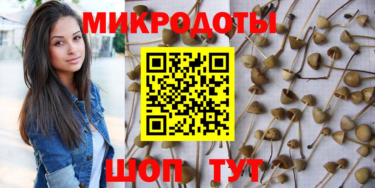 Галлюциногенные грибы Cubensis  Псилоцибиновые грибы мухоморы  Вход с VPN  Протвино 
