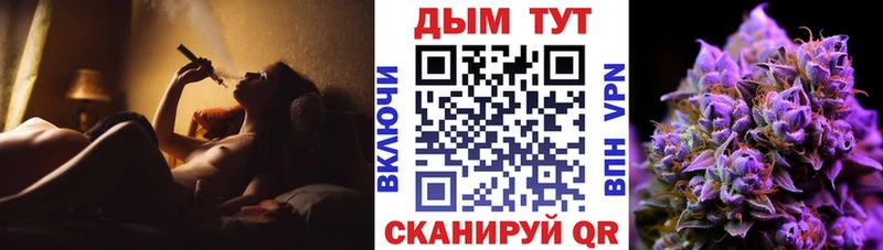 Канабис ГИДРОПОН Протвино